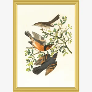 Pixela prodigy inspiring pixels time creators one.